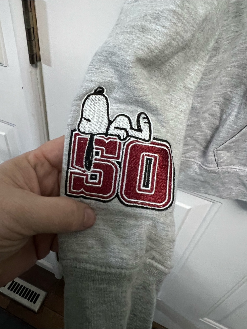 Peanuts Snoopy Hoodie XXL 20 Gray 2025 Freeze Woodstock 50 Back Graphic - Picture 3 of 6